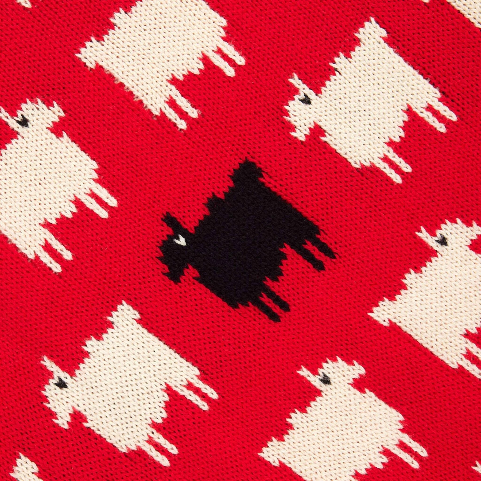 Princess Diana Black Sheep Sweater