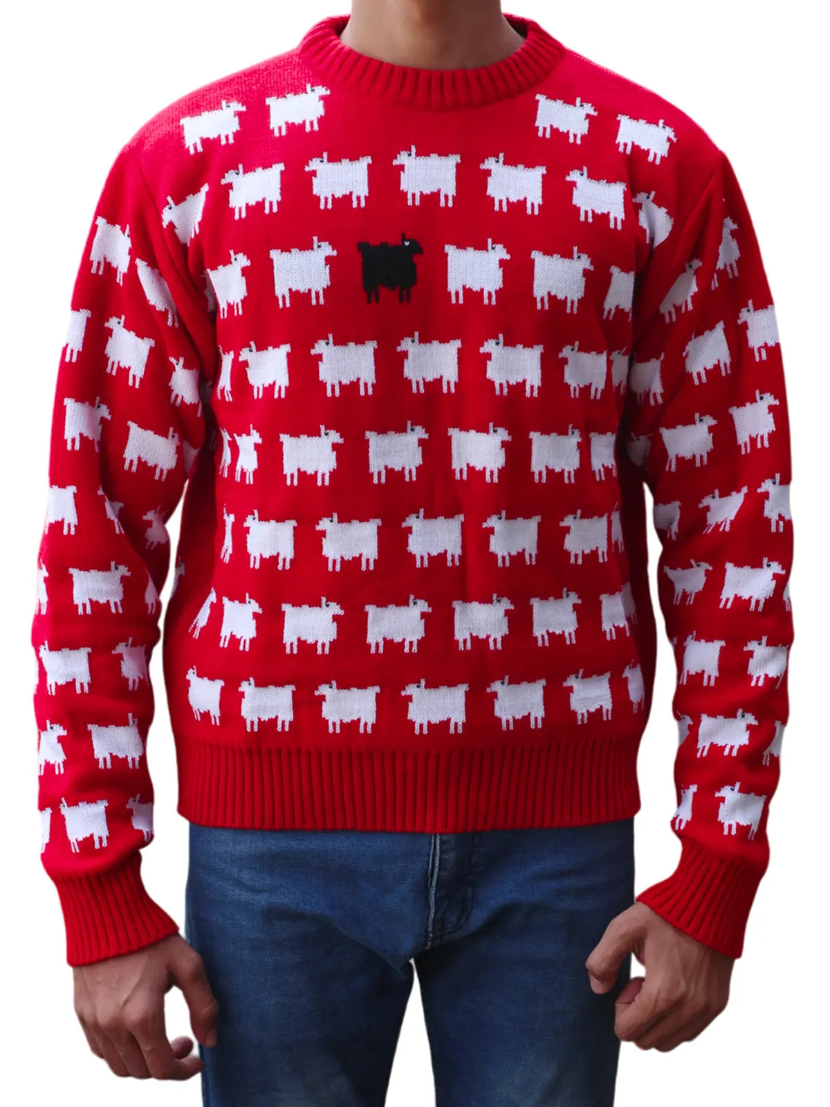 Princess Diana Black Sheep Sweater
