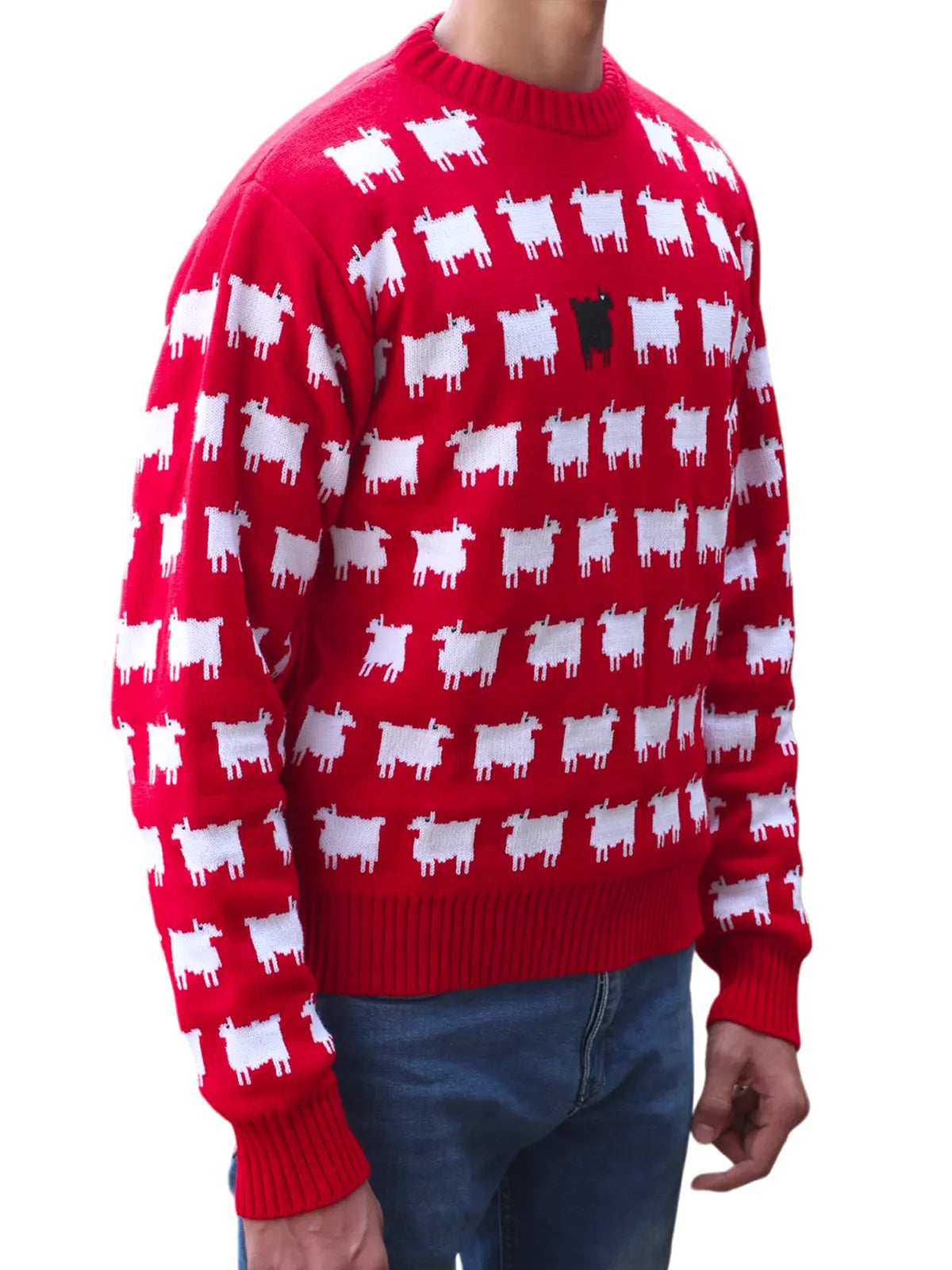 Princess Diana Black Sheep Sweater